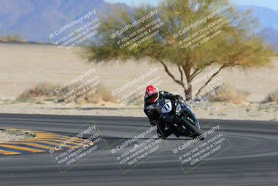 media/Feb-04-2023-SoCal Trackdays (Sat) [[8a776bf2c3]]/Turn 4 (Tree of Life 2pm)/